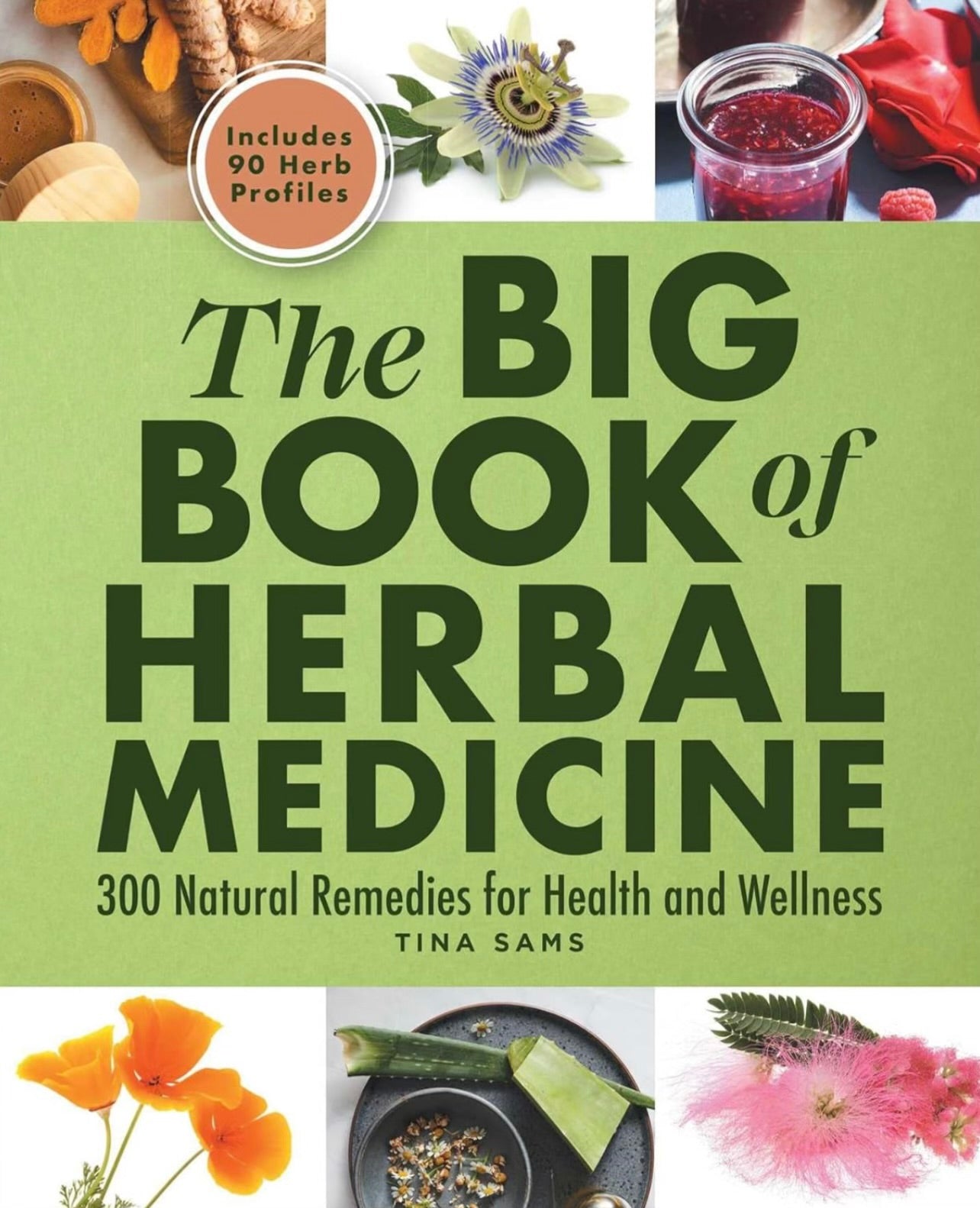 The Big Book of Herbal Remedies 300 Natural Remedies For Health & Wellness by Tina Sams