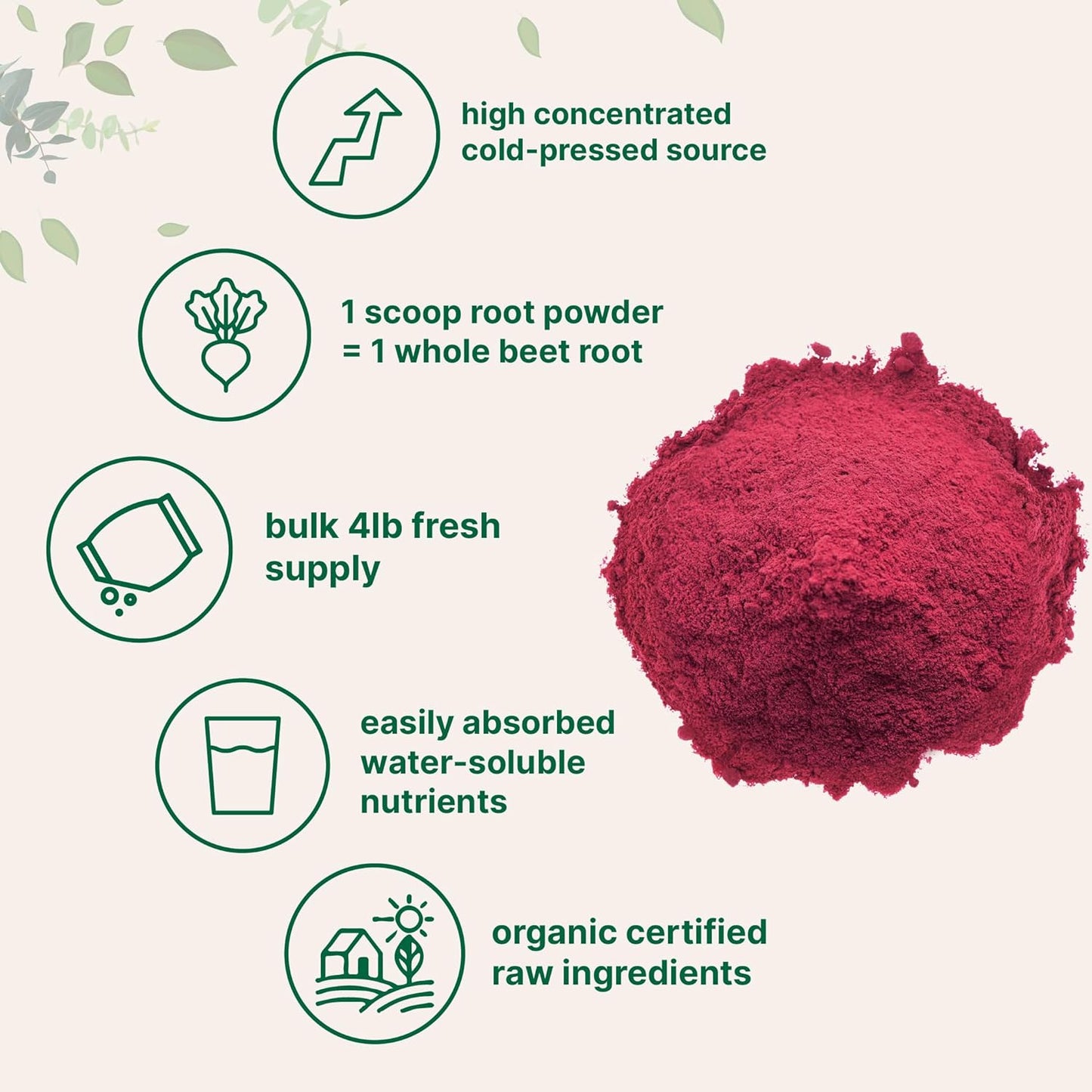 Organic Beet Root Powder, 4 Pounds | Cold Pressed, Water Soluble, High Concentrated Raw Beet Supplement | Superfood Drink Mix | Non-Gmo, Vegan Friendly, Plant Based