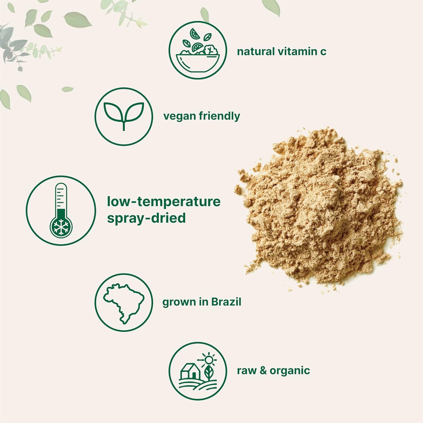 Organic Acerola Powder, 8Oz | Natural Organic Vitamin C Superfood | No Sugar & Additives | Great Flavor for Drinks, Smoothie, & Beverages | Non-Gmo & Vegan Friendly, Brazil Origin