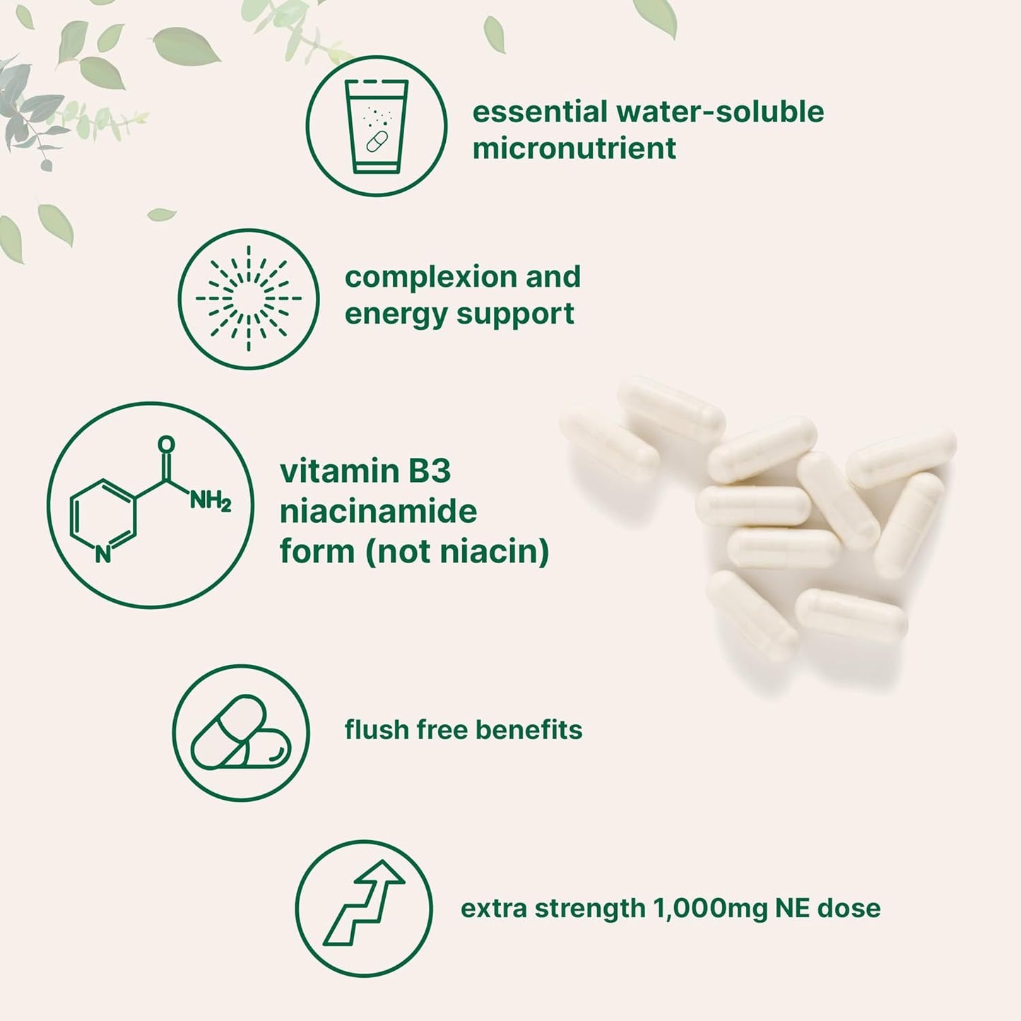 Vitamin B3 Nicotinamide 1,000Mg per Serving, 400 Capsules | Flush Free Niacin, Essential B Vitamin Supplement | Skin Care Health & Energy Support | Non-Gmo, Gluten Free